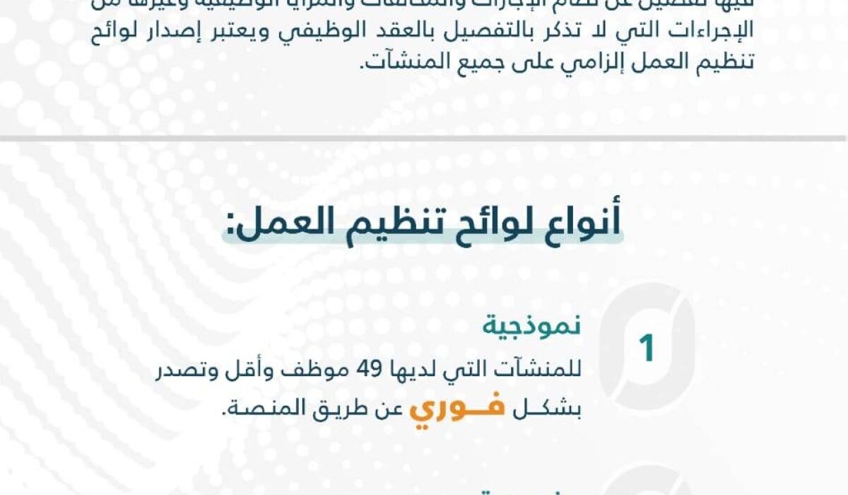 صياغة لائحة تنظيم العمل