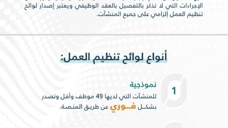 صياغة لائحة تنظيم العمل